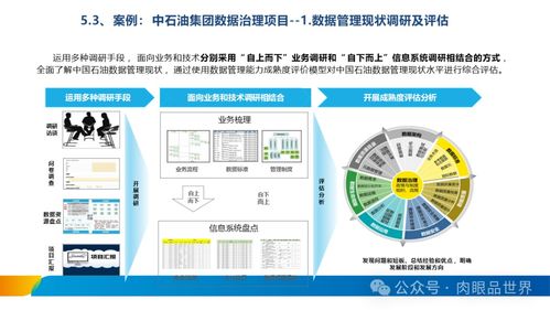 XX集團(tuán)數(shù)據(jù)治理體系建設(shè)方案 數(shù)據(jù)處理與存儲(chǔ)服務(wù)